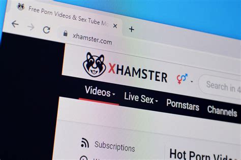 hamester free porn|This Week's Best Porn Videos .